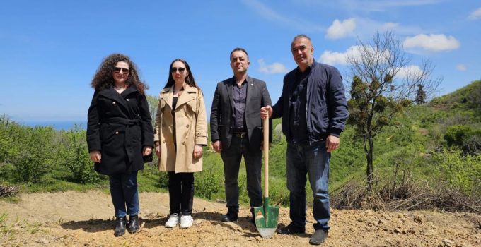 Akçakoca’da Fındığa Alternatif: Yaban Mersini Projesi Başlatıldı